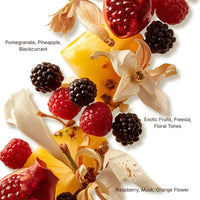 Thumbnail for Royal Musk Pomegranate Raspberry fragrance notes featuring pomegranate, raspberry, floral and musky accords, luxury perfume flatlay - Shopeezy