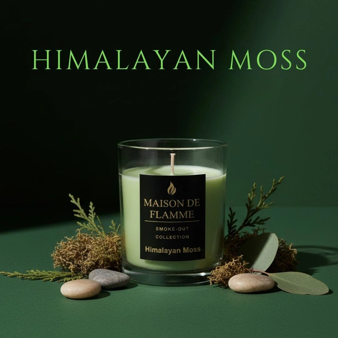 Himalayan Moss candle styled with rocks, moss, and greens against clean green backdrop.