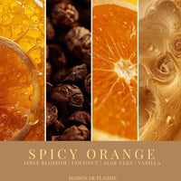 Thumbnail for Collage of spicy orange scents with close-ups of elements like oranges, spices, and aloe vera, with 'Maison de Flamme' branding. - Shopeezy