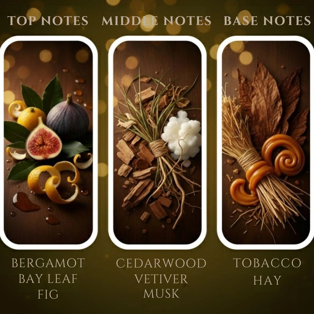 Sandalwood candle fragrance notes  – bergamot, bay leaf, fig, cedarwood, vetiver, musk, tobacco, hay, available at Shopeezy.