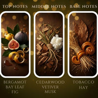 Thumbnail for Sandalwood candle fragrance notes  – bergamot, bay leaf, fig, cedarwood, vetiver, musk, tobacco, hay, available at Shopeezy.