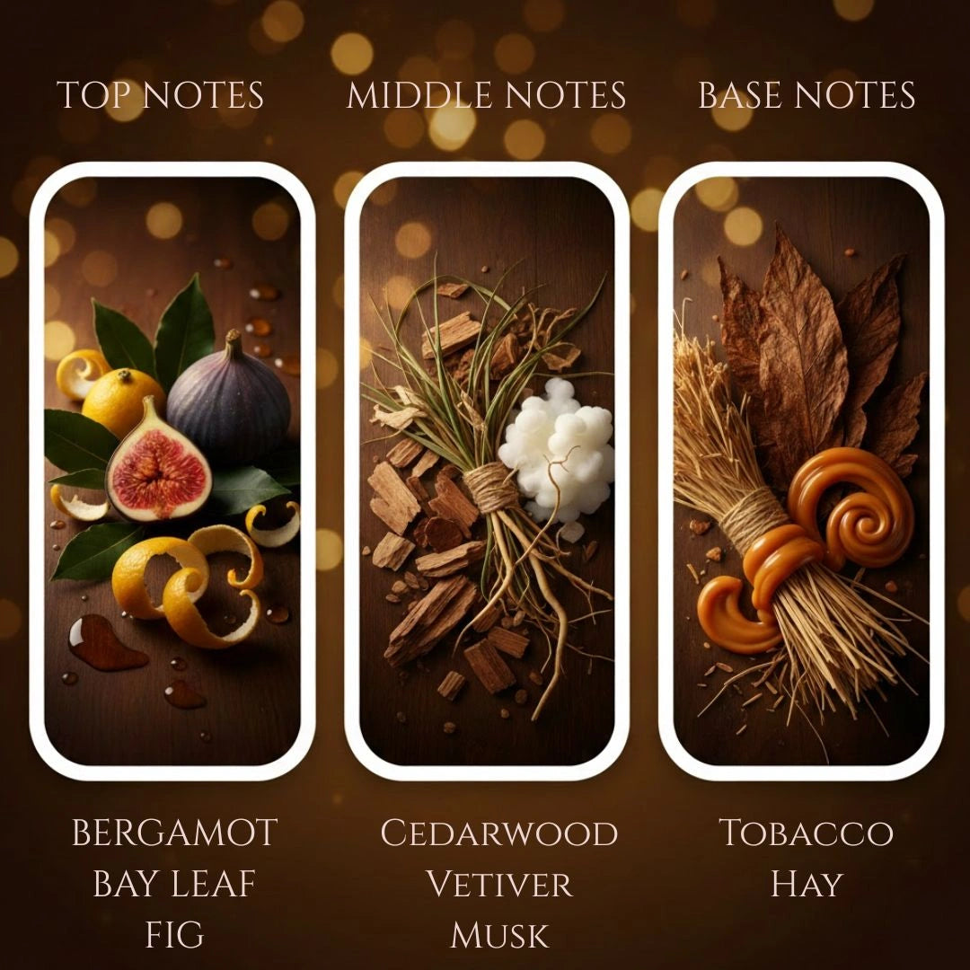 Sandalwood candle fragrance notes panel – bergamot, bay leaf, fig, cedarwood, vetiver, musk, tobacco, hay, available at Shopeezy.