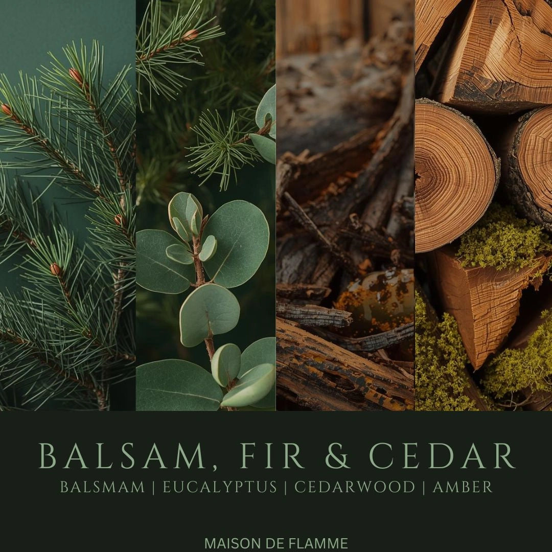Balsam, Fir & Cedar fragrance notes image with eucalyptus, pine, sandalwood, and warm woods.