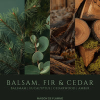 Thumbnail for Balsam, Fir & Cedar fragrance notes image with eucalyptus, pine, sandalwood, and warm woods.
