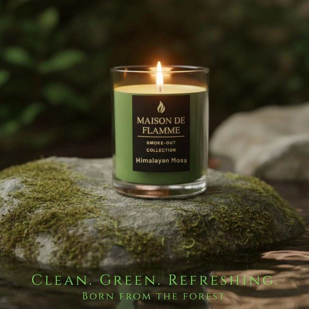 Himalayan Moss candle on wooden table with green mug by the window, calming natural home scent scene