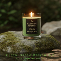 Thumbnail for Himalayan Moss candle on wooden table with green mug by the window, calming natural home scent scene